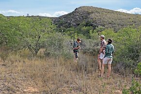 Garden Route Game Lodge
