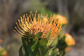 Garden Route Game Lodge