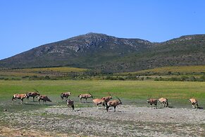 Garden Route Game Lodge
