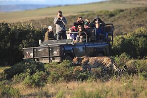 Garden Route Game Lodge