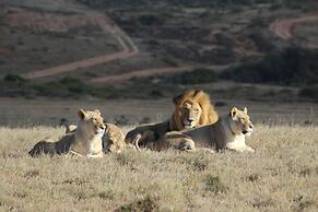 Garden Route Game Lodge