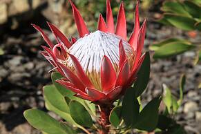 Garden Route Game Lodge