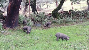 Hotel La Era de Aracena - Adults Only