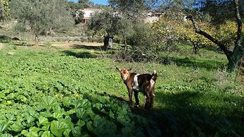 Hotel La Era de Aracena - Adults Only