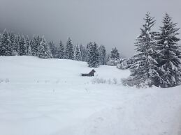 Hotel Krone Tirol