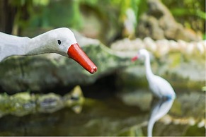 Ao Nang Orchid Resort