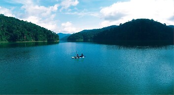 Belum Rainforest Resort