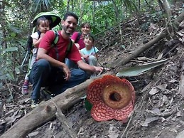 Belum Rainforest Resort