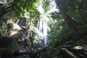 Belum Rainforest Resort