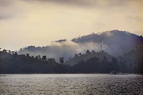 Belum Rainforest Resort