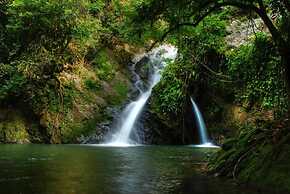 Belum Rainforest Resort