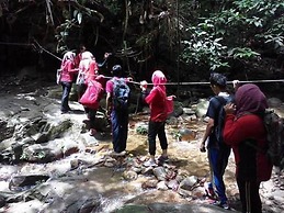 Belum Rainforest Resort