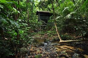 Belum Rainforest Resort