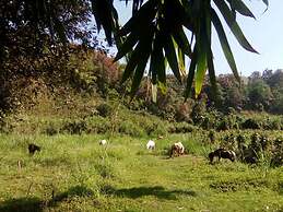 Phu Chaisai Chiang Rai Mountain Resort