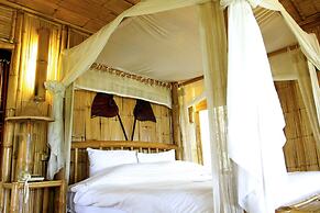 Phu Chaisai Chiang Rai Mountain Resort