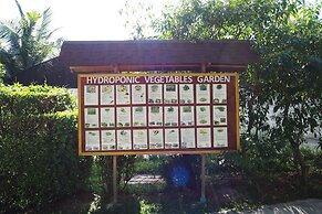 Phi Phi Natural Resort