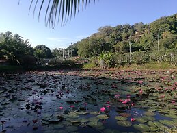 Phi Phi Natural Resort