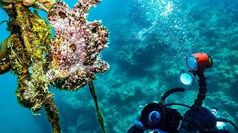 Bedouin Garden Village, Hotel Dive