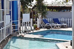 Bedouin Garden Village, Hotel Dive