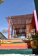 Bedouin Garden Village, Hotel Dive