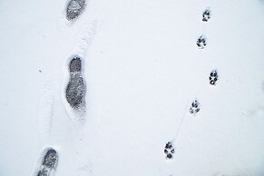 Cooper Spur Mountain Resort