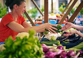 Apartments Vila Piranesi