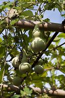 Fairmont Yangcheng Lake