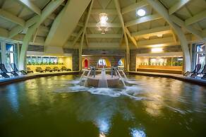 Aquaticum Debrecen Thermal and Wellness Hotel