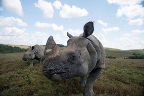 HOLIDAY INN EXPRESS & SUITES ZANESVILLE NORTH by IHG