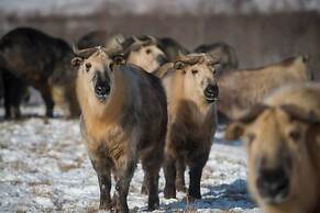 HOLIDAY INN EXPRESS & SUITES ZANESVILLE NORTH by IHG