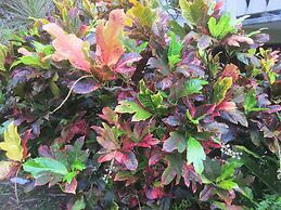 Raina Holiday Accommodation