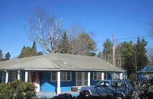 The Homestead Motel