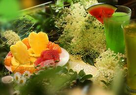 Elysium Gardens Hill Resorts