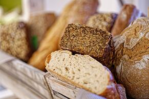 CASCADA Rheine by Hackmann