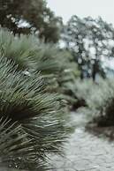 Chateau du Clair de Lune