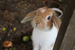 Munkebjerg Bed & Breakfast