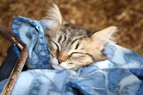 Munkebjerg Bed & Breakfast