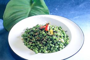 Holiday inn Xi'an High-tech central