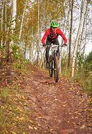 Ruttger's Bay Lake Resort