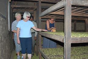 Carmelia Haven Resort