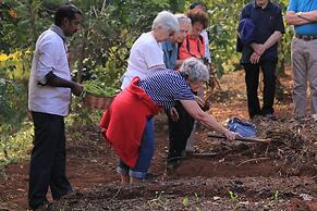 Carmelia Haven Resort