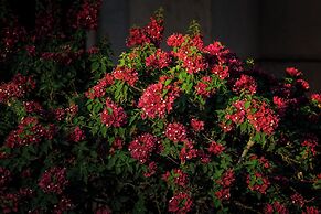 Villa Al Assala Palmeraie