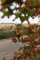 Zevenwacht Wine Estate