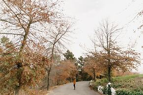 Zevenwacht Wine Estate