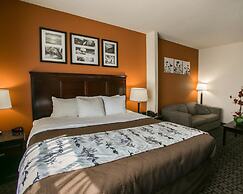 Sleep Inn & Suites Highway 290/NW Freeway