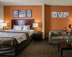 Sleep Inn & Suites Highway 290/NW Freeway