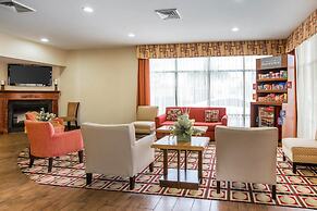 Comfort Suites Golden Isles Gateway