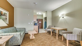 Holiday Inn Express Hotel Suites Lubbock Southwest-Wolfforth, an IHG H