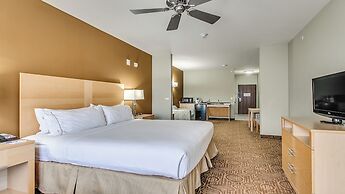 Holiday Inn Express Hotel Suites Lubbock Southwest-Wolfforth by IHG