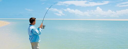 Eco Beach Wilderness Retreat